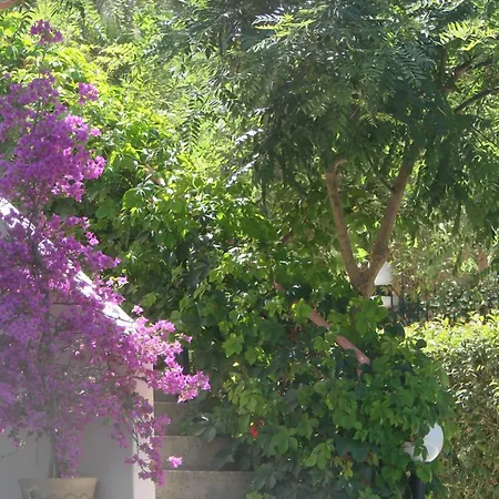 Christianna דירה ניקיאנה