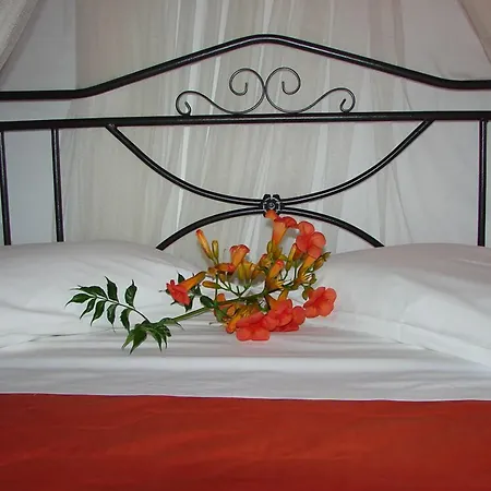 דירה Christianna ניקיאנה