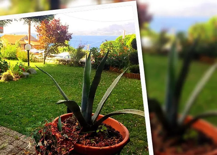 Christianna شقة *